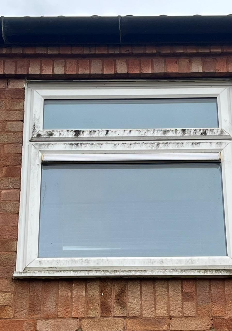 Window frames black with algae and mould before cleaning